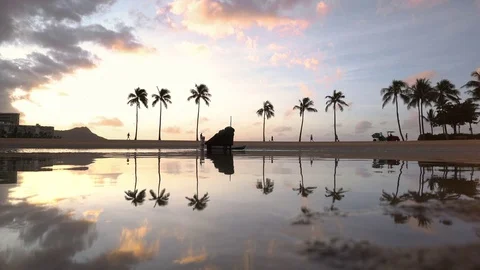 Sunrise reflection of a row of Palm Trees Stock-Footage 71354020