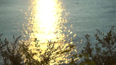 Sunrise Reflection in Sea Background Stock Footage 81039807