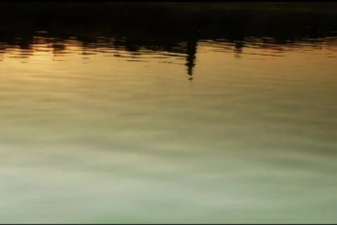 Sunrise reflection in water Stock Footage 110720