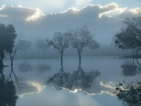 Sunrise reflections Stock Photos