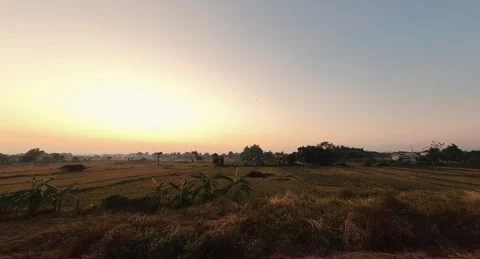 Sunrise at the rice field Video stock 282330183