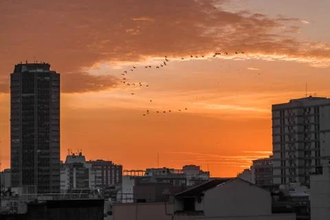 Sunrise in Rio Foto stock