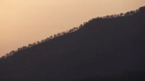 Sunrise Rising from the Depths of the Forest - Horizontal Format Stock Footage 333160271