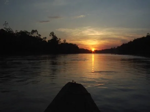 Sunrise on River in Amazon Jungle Rainforest Seen From Boat Stock Footage 112943828