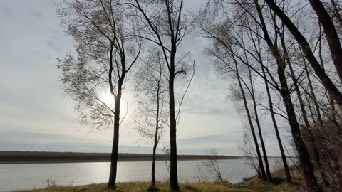 Sunrise on the river in autumn Stock Footage 218370313