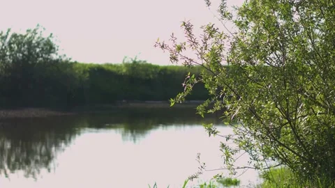 Sunrise on the river. Evening landscape with the last rays. Stock Footage 171409574
