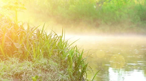 Sunrise on river Stock Footage 50618117