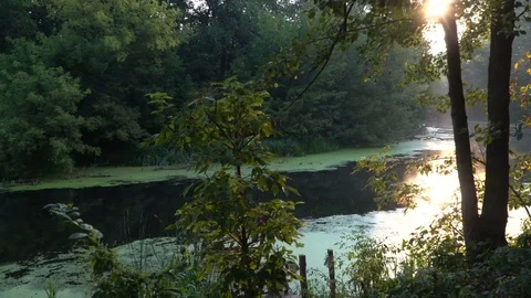 Sunrise on river Stock Footage 79416532