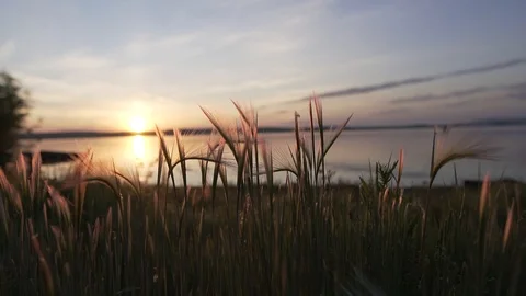 Sunrise by the river Video stock 124857075