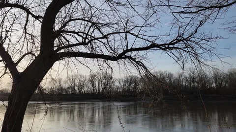 Sunrise river with tree trunk and overhanging branches over calm water Stock Footage 331325200