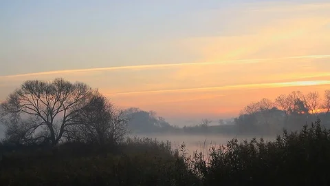 Sunrise on the riverbank Stock Footage 73602891