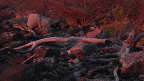 Sunrise rocks 2 库存影片 97709739