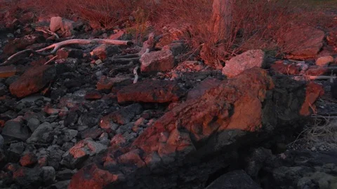 Sunrise rocks 库存影片 97709752