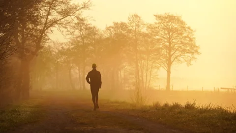 Sunrise run Stock Footage 156285124
