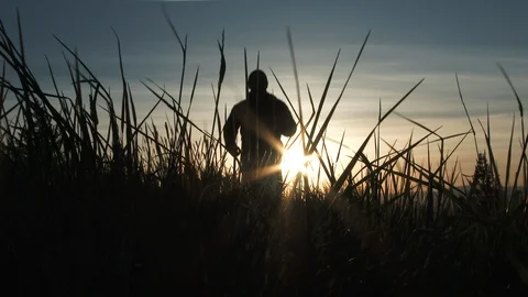 Sunrise Runner Jogging Up Grassy Hill Video stock 88971428