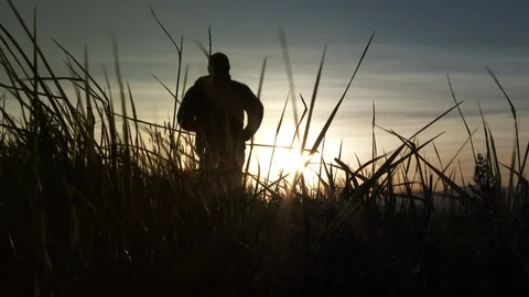 Sunrise Runner Through Field Of Blowing Grass Stock Footage 88993729