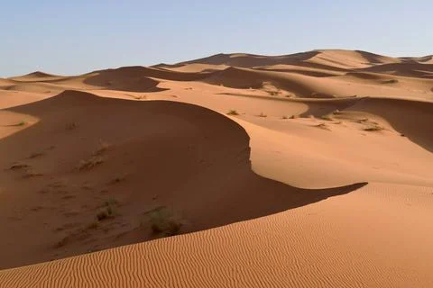 Sunrise on the Sahara Foto stock
