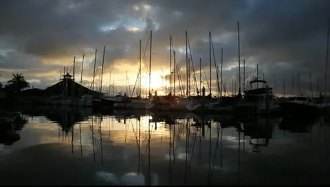 Sunrise San Diego Video stock 10909736