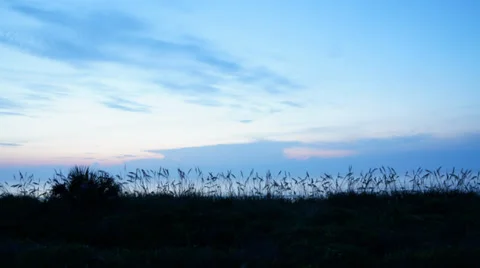 Sunrise at Satellite Beach Stock Footage 39829031