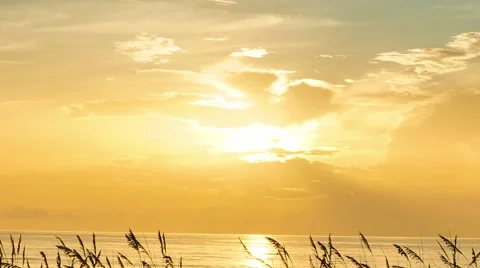 Sunrise in Satellite Beach Stock Footage 40081796