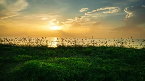 Sunrise in Satellite Beach Stock Footage 40081813