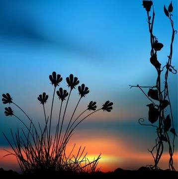 Sunrise Scene Stock Illustration