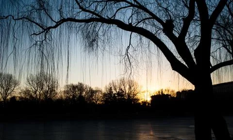 Sunrise scene Stock Photos