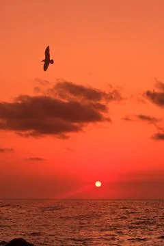 Sunrise at sea Stock Photos