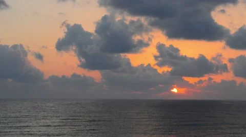 Sunrise seagull. Stock Footage 67443189