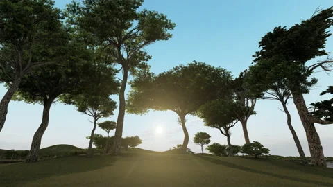 Sunrise seen through trees canopy and over the hills and water, 4K Video stock 201149107