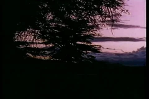 Sunrise in settlement in Kenya Stock-Footage 11352716