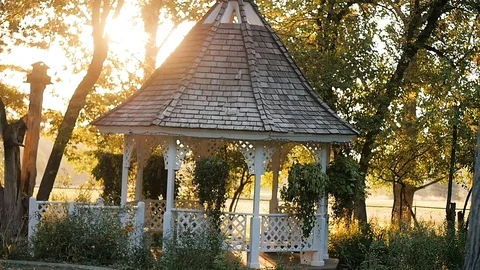 Sunrise shines through trees over gazebo Stock Footage 102675715