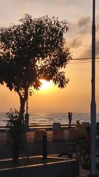 Sunrise on the side of the road forms a beautiful silhouette Fotos Stock