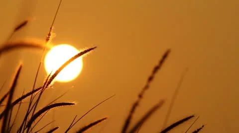 Sunrise Silhouette Stock Footage 22126615