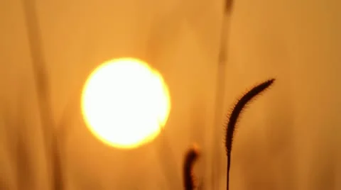 Sunrise Silhouette Stock Footage 22129623