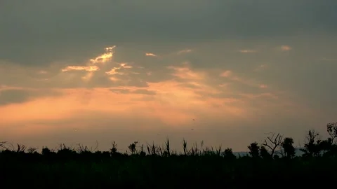 Sunrise Sky Summer Light Time-lapse photography Stock Footage 157257843