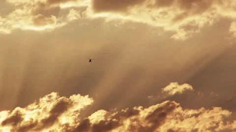 Sunrise sky with sun rays and helicopter and birds Video stock 903227