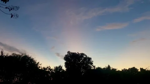 Sunrise Sky with Tree Silhouettes Stock Footage 336780876