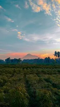Sunrise in Sleman 스톡 사진