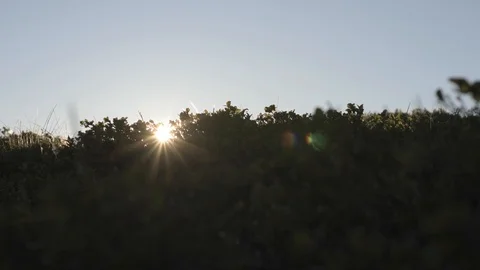 Sunrise In a Small World Stock Footage 117070601