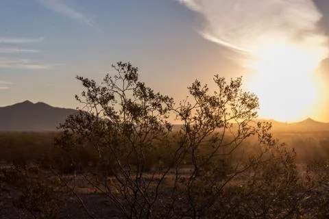 Sunrise in the sonoran Stock Photos