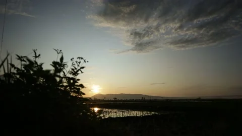Sunrise Summer Mountain Landscape 스톡 동영상 222506941