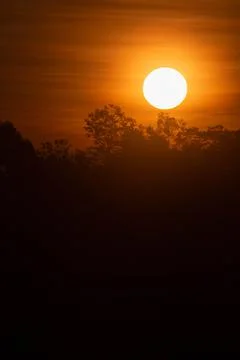 Sunrise on summer season Stock Photos