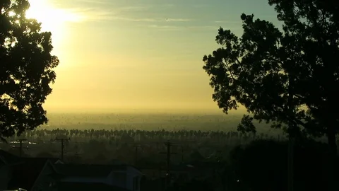 Sunrise / sunset lines of palm trees and telephone wires are backlit. Stock Footage 112828283