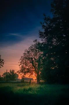Sunrise Sunset through tree over gate and grass 스톡 사진
