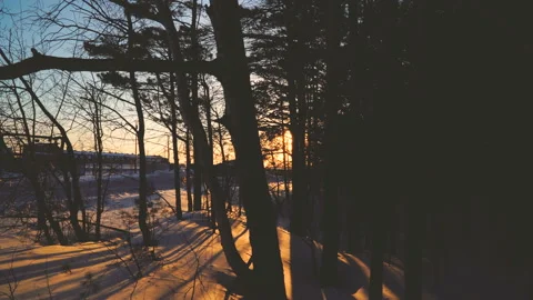 Sunrise sunset through trees branches in winter. Snow forest sunshining 4k Stock Footage 89350336