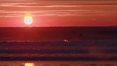 Sunrise Surfer Ocean Stock Footage 262074013