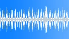 Sunrise Surprise - mellow playful acoustic (no lead short loop 4) Stock Music