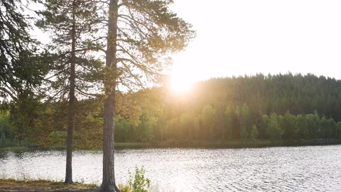 Sunrise at swedish lake with lensflares Stock Footage