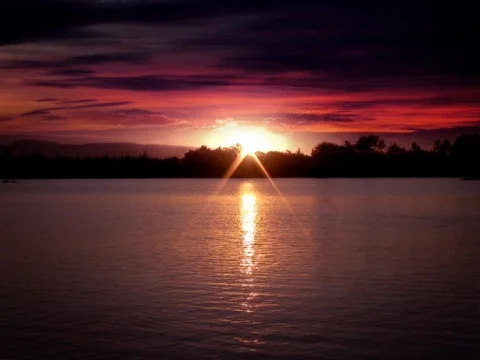 Sunrise Swim Stock Footage 490169